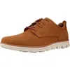 Timberland Bradstreet Plain Toe Oxford Schuhe Braun EU 40 Produktbild-Vorschau 1