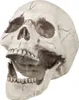 Schädel mit beweglichem Kiefer - Halloween Deko Produktbild-Vorschau 4