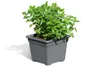 3er Set Pflanzkasteneinsatz 32x32x26 cm Pflanzkübel aus Produktbild-Vorschau 4