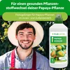 Purgrün -Papaya-Dünger 1 Liter, Produktbild-Vorschau 2