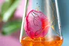 Leonardo Aperitifglas Presente Blüte, Kristallglas, Produktbild-Vorschau 9