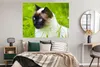 MuchoWow® Poster Siamesische Katze im Gras 160x120 cm - Produktbild-Vorschau 4