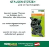 Pflanzenclips Pflanzklammern Pflanzenbefestigung Produktbild-Vorschau 6