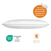 Kussen 30 x 50 cm, vulling van 100% dons en veren, hoes van Productafbeelding-voorbeeld 18