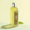 L'Occitane Verveine, Duschgel, 500 ml, Erwachsene, Unisex, Produktbild-Vorschau 7