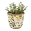 A potted plant with white flowers sits in a decorative ceramic pot with a lemon pattern. Produktbild-Vorschau