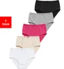 Taillenslip Taillenslip Damen Baumwolle Stretch 5er & 10er Produktbild-Vorschau 1