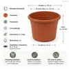 Pflanztopf Fiona Terrakotta Ø 20cm - Frostsicher & Produktbild-Vorschau 3