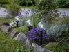 Luce solare a LED "Globe", set di 3, bianco/nero Anteprima dell’immagine prodotto 15
