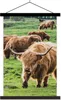 MuchoWow® Textilposter Herde - Schottisches Hochlandrind - Produktbild-Vorschau 1