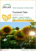 SAFLAX  - Tournesol Titan - 20 graines - Helianthus Voir les images du produit 1