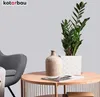 A plant in a white pot sits on a wooden coffee table next to a ceramic vase. A grey armchair is visible in the background. Produktbild-Vorschau