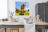 MuchoWow® Poster Kühe - Sonne - Österreich 100x100 cm - Produktbild-Vorschau 3