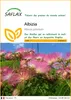 SAFLAX  - Albizia - 50 graines - Albizia Voir les images du produit 1