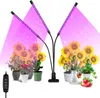 Lampada LED per piante Ikodm, 40W, spettro completo, 4 Anteprima dell’immagine prodotto 7