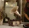 A wooden 3D puzzle of a gramophone is displayed on a table, with a mirror and dried flowers in the background. Náhľad obrázku produktu