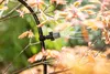 Gartenbewässerungssystem | Balkon + Beet | 20 m | Produktbild-Vorschau 5