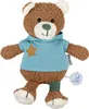 A brown teddy bear wearing a blue striped hoodie and a green band on its leg, with a music box attached to its side. Produktbild-Vorschau