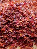 Koreańska czerwona ostra papryka GOCHUGARE do kimchi 500g - Podgląd zdjęcia produktu 4
