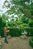 WOLF-GARTEN MS-Profi-Baumschere RC-VM multistar Produktbild-Vorschau 3