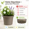 Pflanztopf Fiona Taupe Ø 20cm - Frostsicher & UV-Beständig Produktbild-Vorschau 5