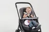 Chicco 00007627100000, Wielobarwny, First Dreams, Chiny, Podgląd zdjęcia produktu 5