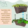 Diagram showing how water flows from an upper planter to a lower planter. Produktbild-Vorschau