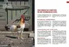 Das Hühnerbuch Produktbild-Vorschau 10