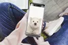 MuchoWow® Handyhülle Schutzhülle Hülle für Samsung Galaxy Produktbild-Vorschau 3