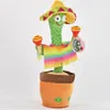 Kögler tanzender Kaktus Sombrero & Rasseln Sound & Produktbild-Vorschau 2