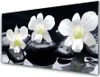 Acrylglasbilder 100x50 Wandbild Druck Blumen Steine Produktbild-Vorschau 1