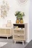 SalesFever Kommode mit Rattan Front | 2 Schubladen und 1 Produktbild-Vorschau 2