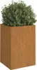 A square planter made of corten steel with a green bush growing inside, set against a white background. Anteprima dell’immagine prodotto