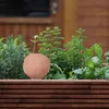 Relaxdays Sfere per l'irrigazione in terracotta, set da 4, Anteprima dell’immagine prodotto 5
