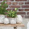 Clayre & Eef Blumentopf Ø 17x16 cm Grau Beige Keramik Produktbild-Vorschau 3