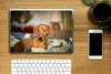 MuchoWow® Laptop Aufkleber Sticker Cover Dackel liegend auf Produktbild-Vorschau 2