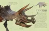 Wundervolle Welt der Dinosaurier und der Urzeit Produktbild-Vorschau 9
