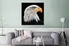 MuchoWow® Poster Seeadler - Porträt - Vogel - Seeadler Produktbild-Vorschau 5