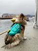 Non-stop dogwear Schwimmweste Protector Life Jacket türkis, Produktbild-Vorschau 18