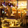A string of warm white fairy lights is wrapped around a branch, from which three bunches of dried flowers and herbs are hanging. In the background, more fairy lights and colorful star-shaped lights are visible, along with blurred shelves and objects that s Náhled obrázku produktu