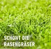 A close-up of green grass with text overlay. Produktbild-Vorschau