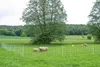 horizont Schafnetz turbomax high energy  50m x 105cm, Produktbild-Vorschau 3
