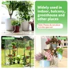 Système d'arrosage Arrosage automatique pour 10 plantes en Voir les images du produit 8