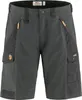 FJÄLLRÄVEN Fjällräven Abisko Shorts Herren grau 54 Produktbild-Vorschau 1
