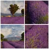 Bild auf Leinwand - Leinwandbild - Einteilig - Landschaft Produktbild-Vorschau 8
