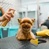 Fusselbürste Fusselrolle Tierhaarentferner Kleidung Produktbild-Vorschau 9