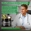 Himalayan Shilajit - 80,7% Fulvinsäure, Labor in Produktbild-Vorschau 12