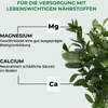 Allflor Gartenkalk Dolomiti 25 kg Produktbild-Vorschau 3