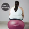 Piłka gimnastyczna PROIRON - 55 cm, ROSE RED Podgląd zdjęcia produktu 13