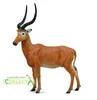 Collecta Hirola antilope figura Marrone 3-6 anni Marrone Anteprima dell’immagine prodotto 1